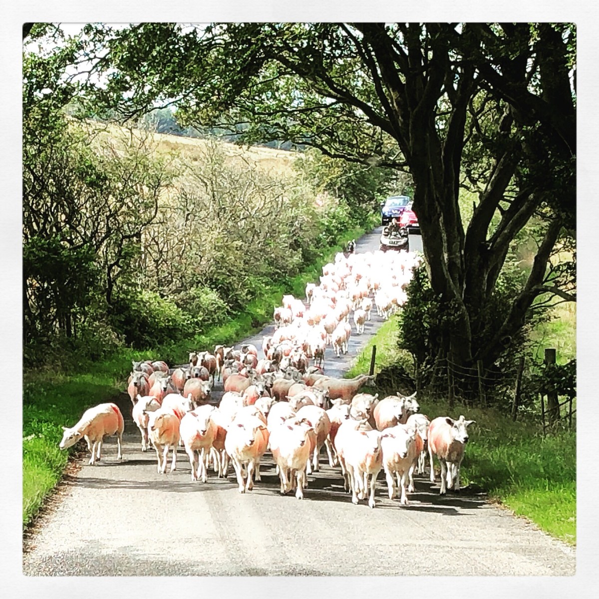 Dag 10 – Kriskras naar de andere kant van t Lake District