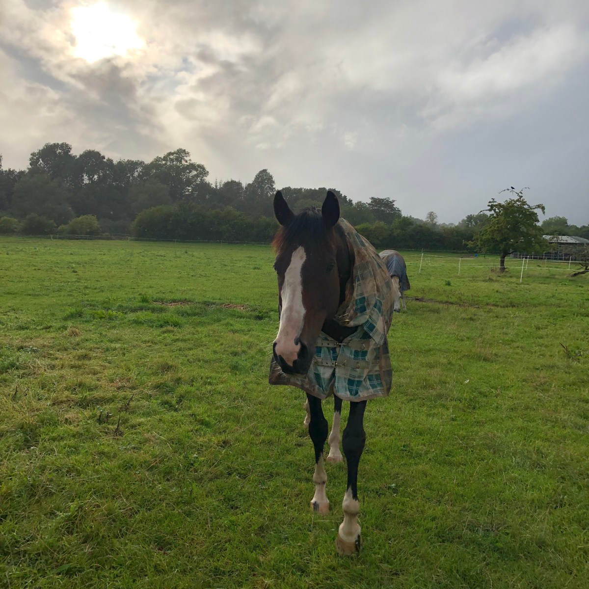 Dag 21 – file en regen… zucht