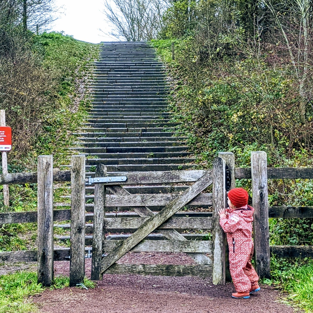 Stadsgroen Marionetten (Kortrijk)