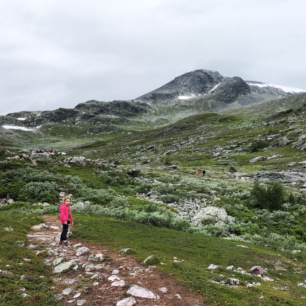 Dag 18 – Stora Sjöfallet Nationaal Park