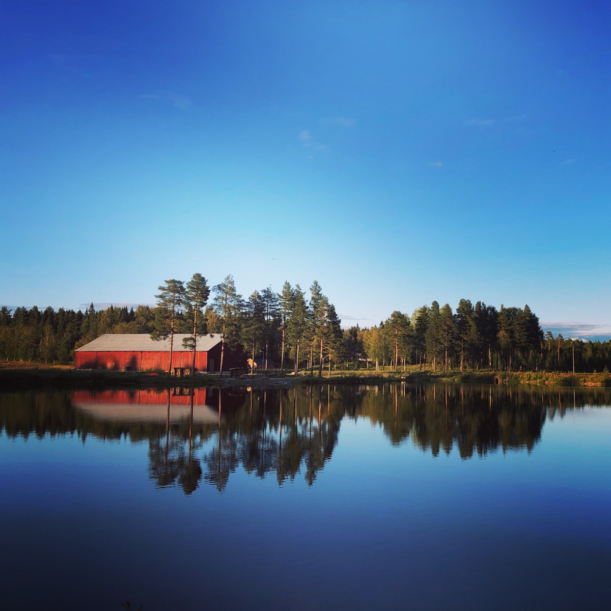 Dag 22 – Vildmarksvägen (deel 2)