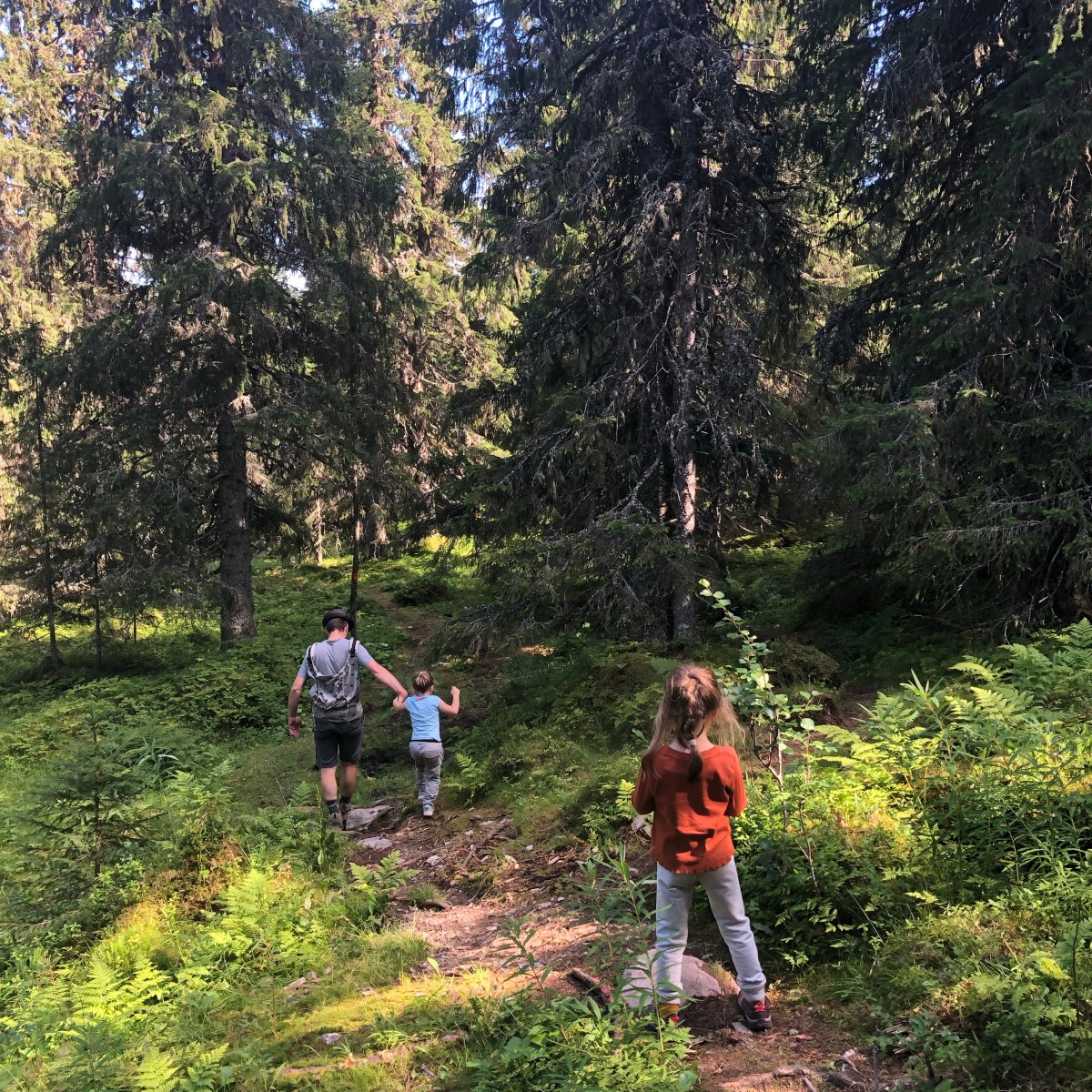 Dag 23 – Beren spotten in Sånfjällets nationaal park