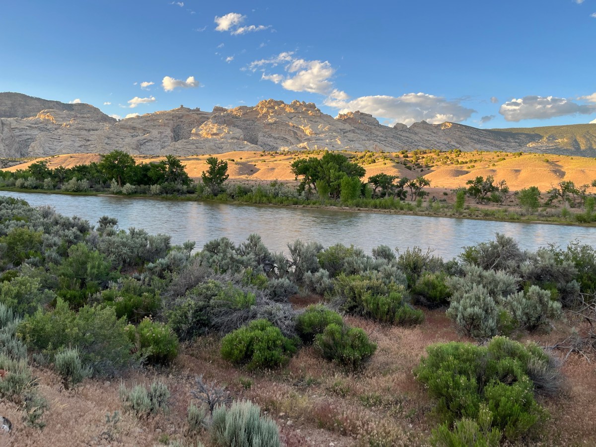 Op zoek naar dinosaurussen