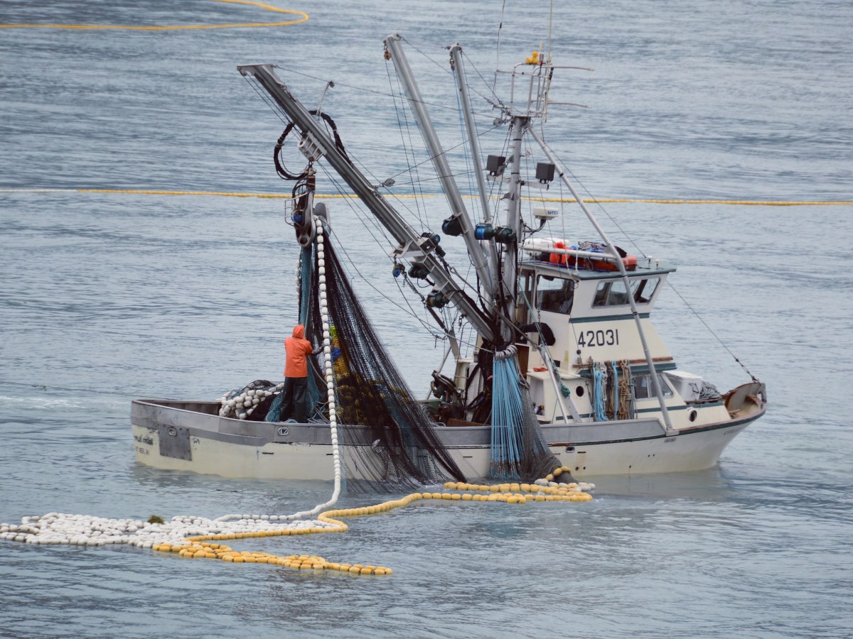 Terug naar de Canadese Yukon