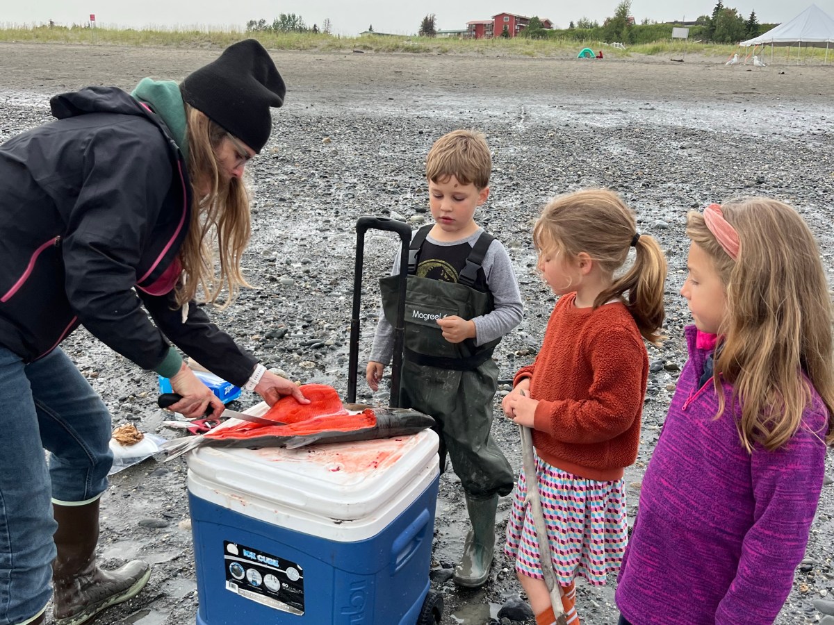 Van Kenai Peninsula richting gletsjers!