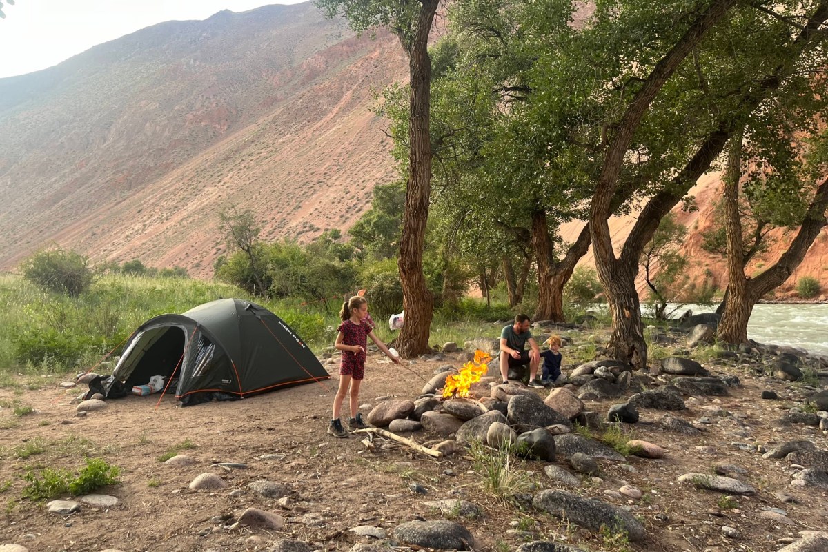 Team GPS had a super year in 2024 !!!!!! - GPS-Auctions, image size:1200x800